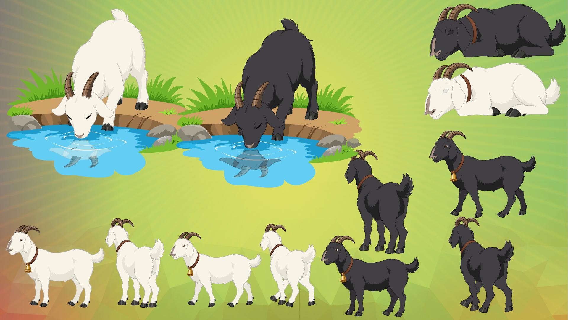 Indian Village White And Black Goat(Bakri) Animated Animal Character